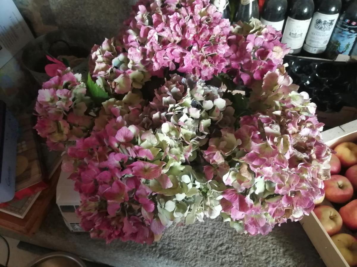 Gite Hydrangea Lanhelin Dış mekan fotoğraf